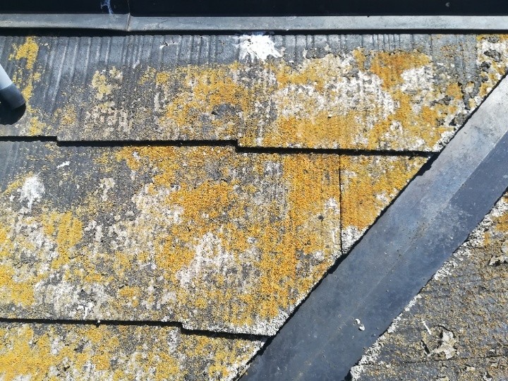 局所的な劣化の進行