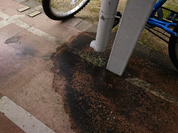 竪樋付近の水たまり