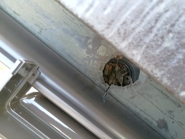 竪樋接続部の詰まり