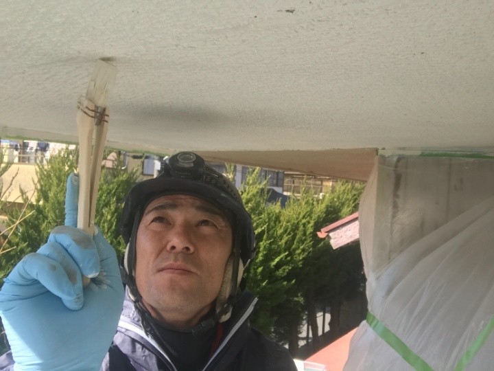 上塗りと細部の仕上げ