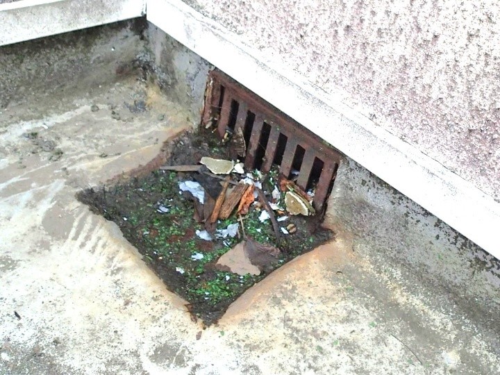 排水口まわりの劣化