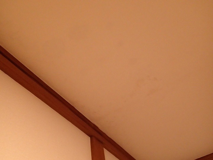 室内天井に現れた雨染みの確認