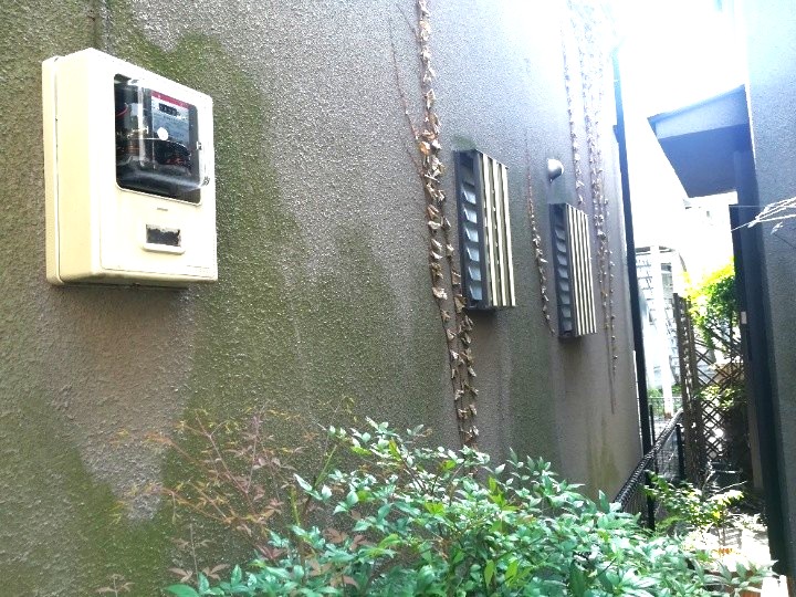 外壁の苔付着とクラックの発生