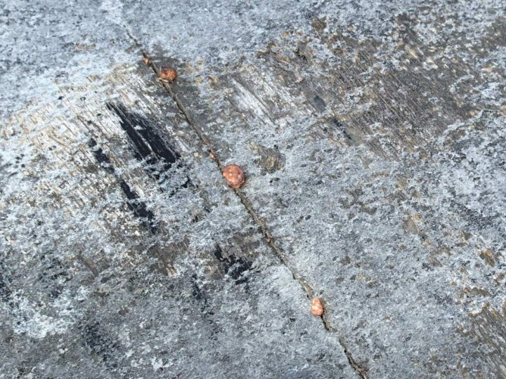 ひび割れ部分の点状破損