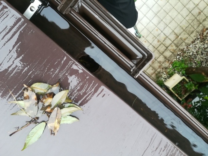 樋に溜まった落ち葉の確認