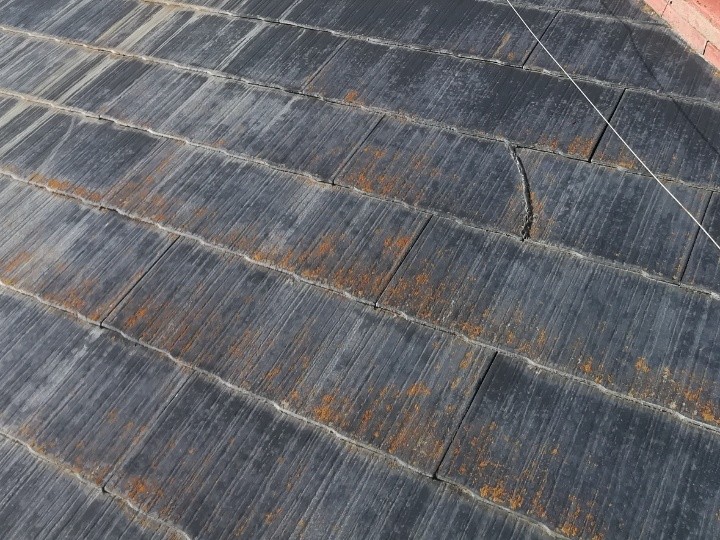 スレート表面の藻と褪色