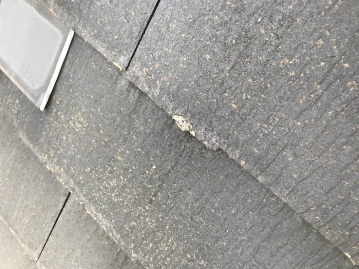 雹による欠けの確認