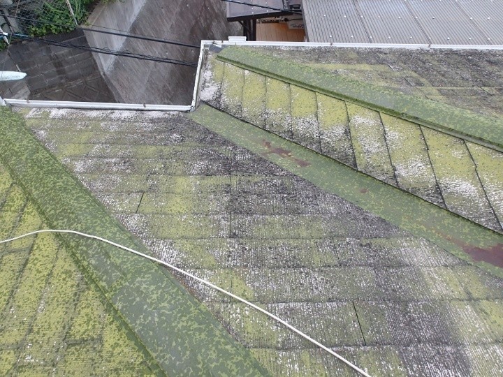 屋根全体のコケと劣化