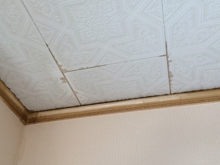 寝室天井の雨染みを確認