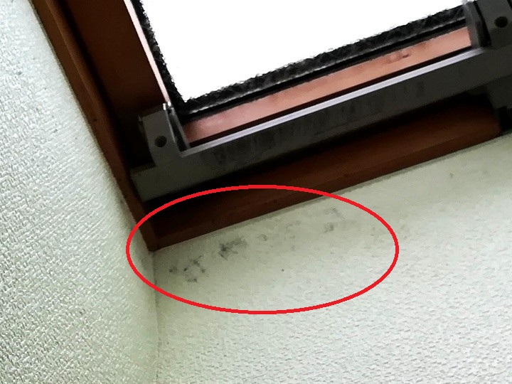 天窓枠まわりのカビを調査