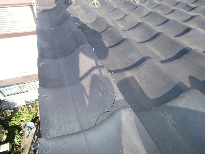 割れた瓦の確認