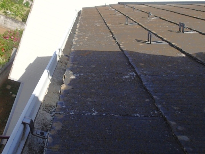 スレートの苔や塗膜剥がれの確認