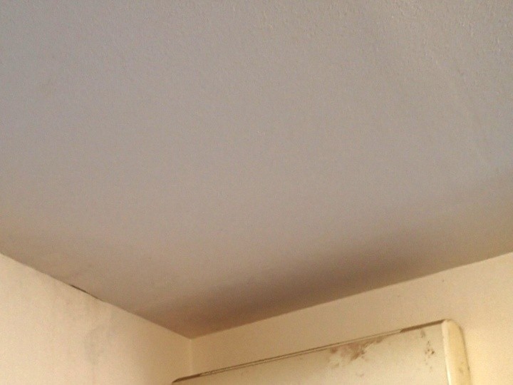 天井に現れた雨染みの確認