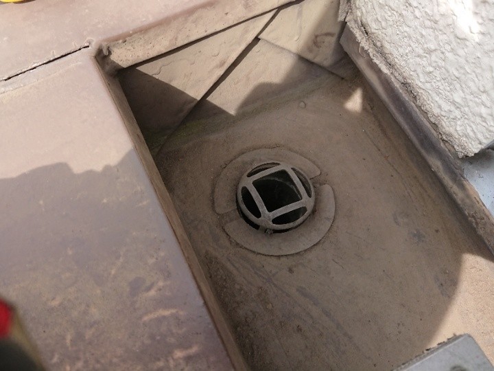 雨樋の清掃作業