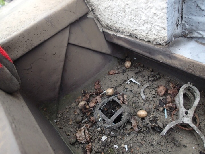 雨樋内部の詰まり状況