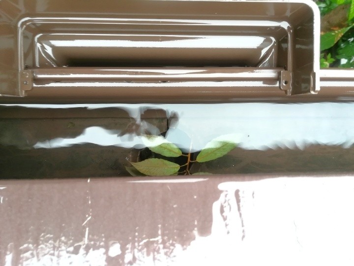 集水器付近の滞留状況