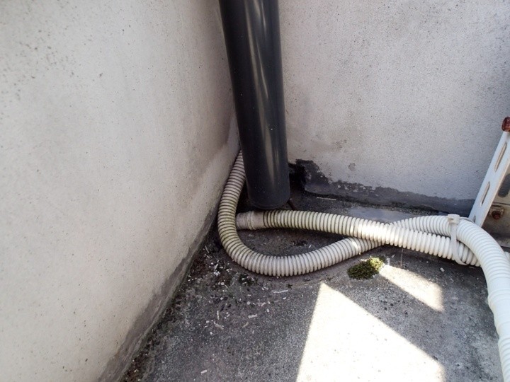 ベランダ排水口とドレンホース周り