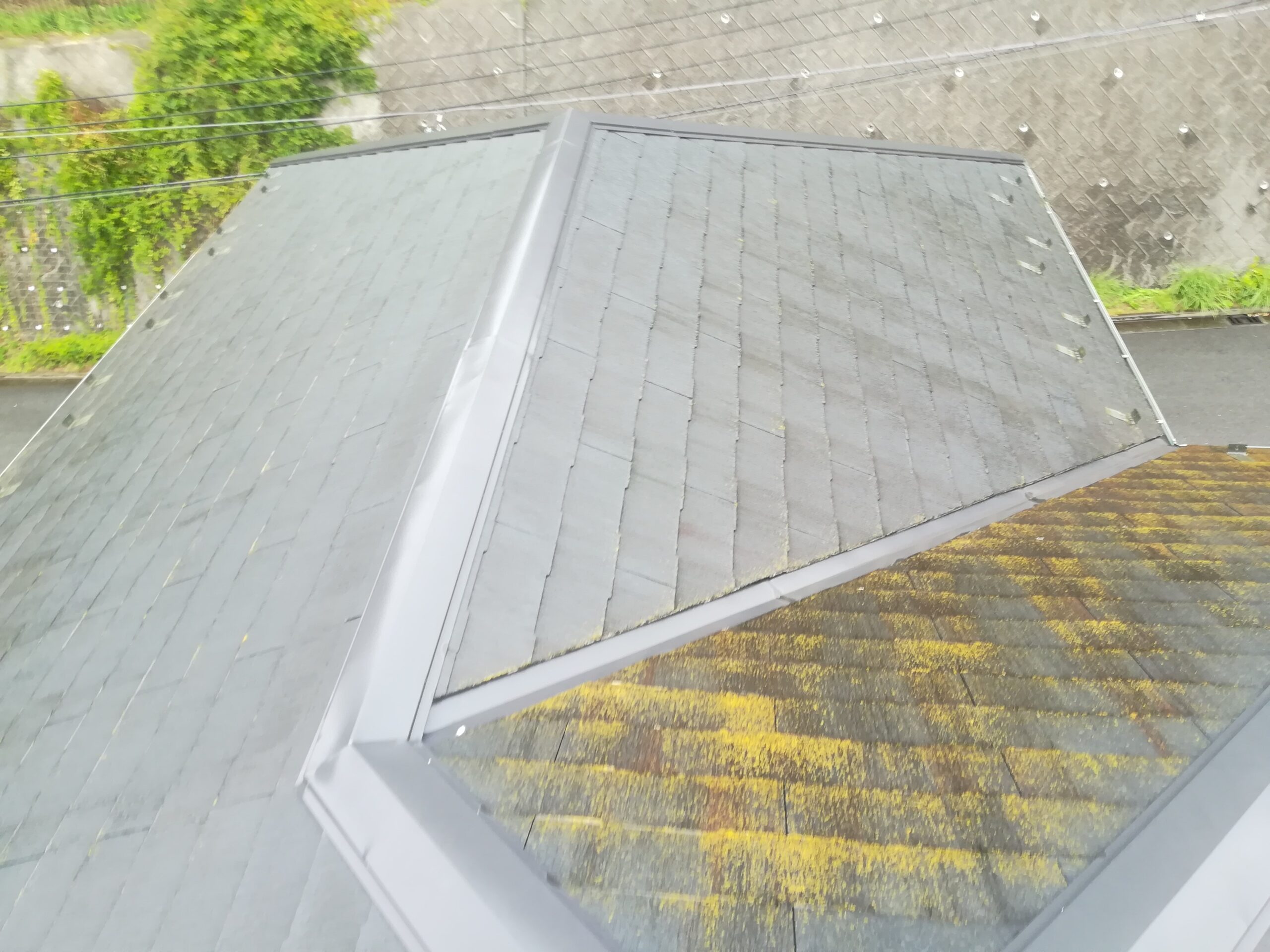 藻が繁殖したスレート屋根