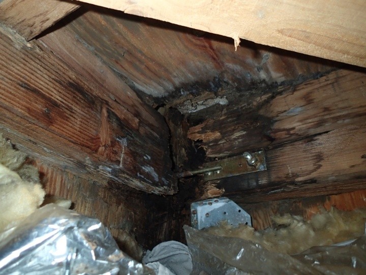 桁部分の腐食状況