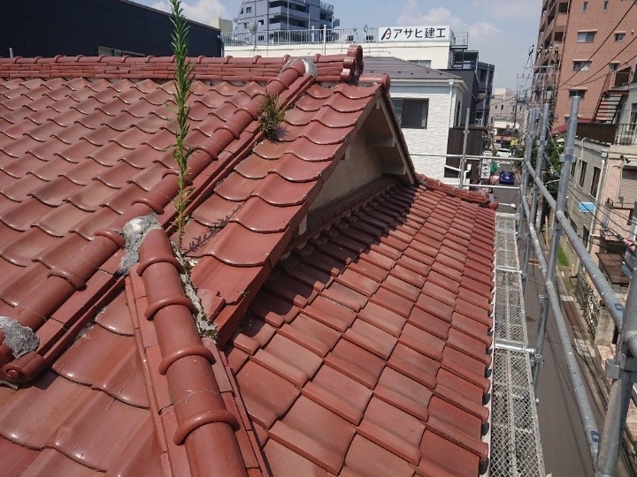 棟部分に繁茂した雑草