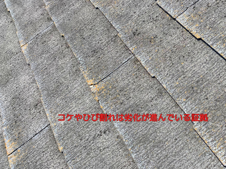 コケやひび割れは劣化が進んでいる証拠