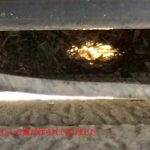 巣がありました