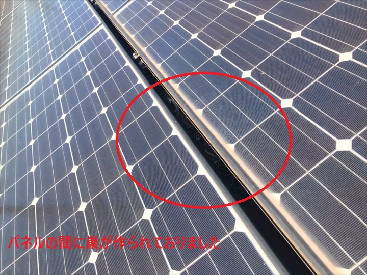 パネルの間に鳥の巣