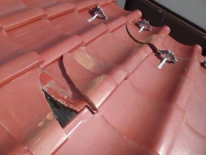 破損した瓦の発見