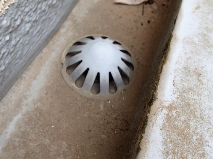 ドレン周りの確認