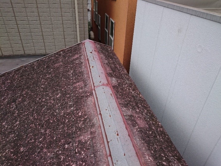 棟板金周辺の傷み