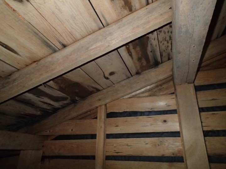 屋根裏の雨染みを確認