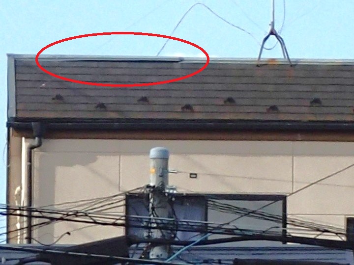 棟板金の剥がれを遠方から確認