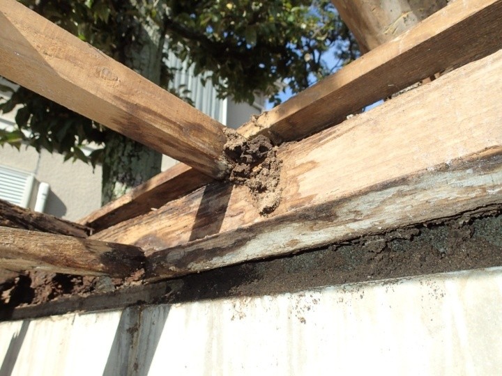腐食した木部の補修と補強作業