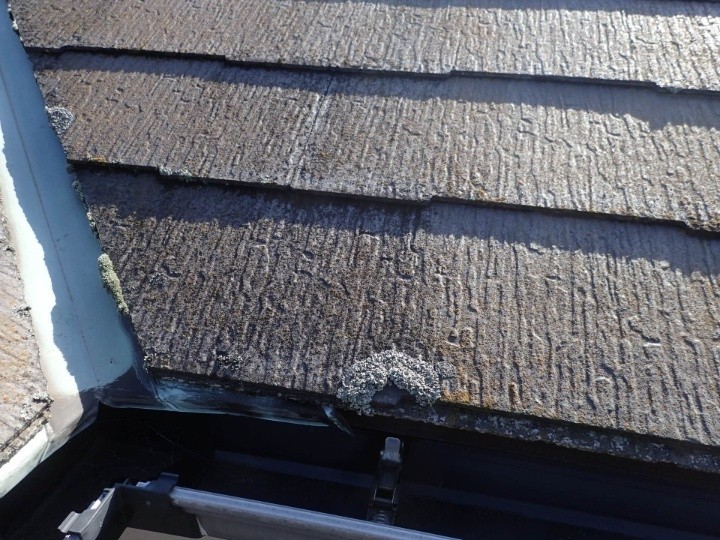 スレート屋根に苔が発生