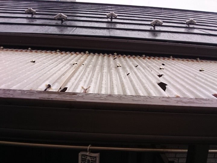 波板の広範囲な割れ（2枚目）