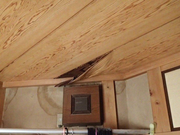 室内天井の雨漏り跡と損傷