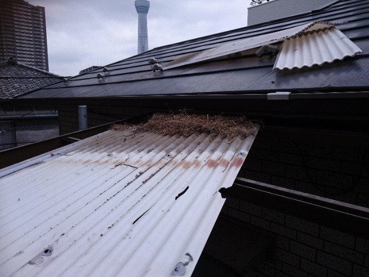 既存波板の撤去作業（1枚目）