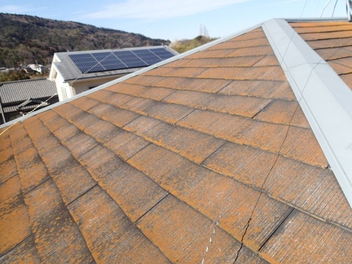 苔や退色した屋根