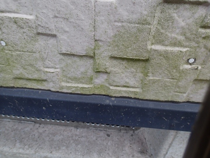 サイディング外壁に色褪せや苔が発生