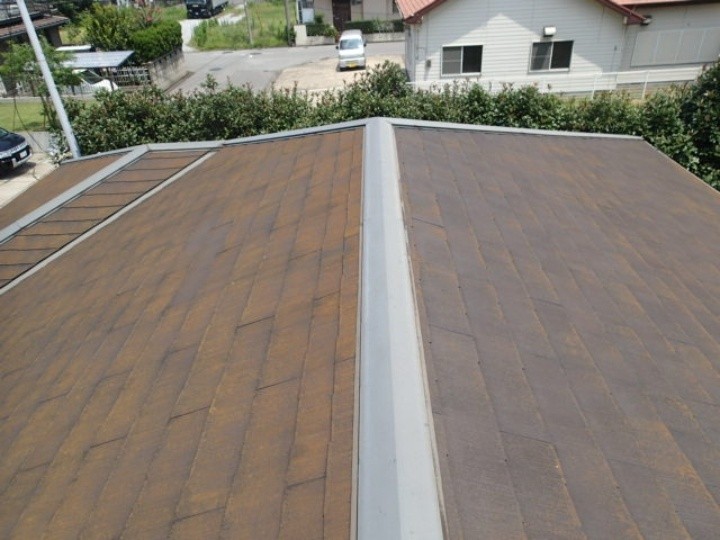 屋根に苔（コケ）が発生