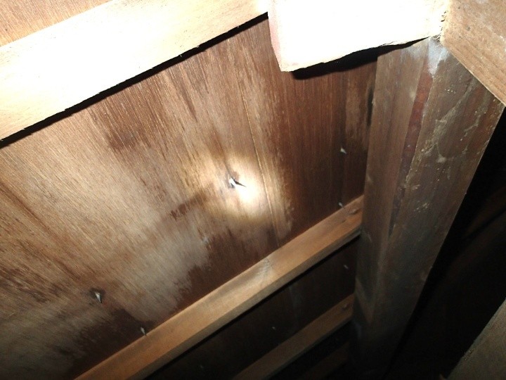 小屋裏への浸水跡