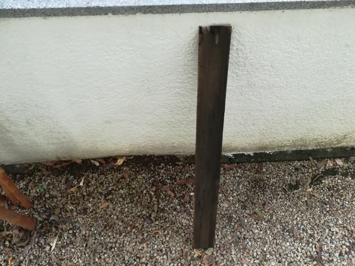 裏庭で発見された貫板