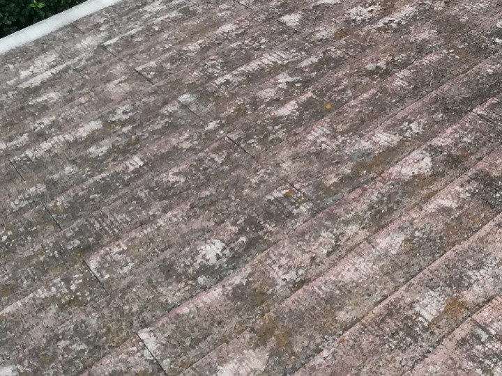 苔や藻が繁殖した屋根面