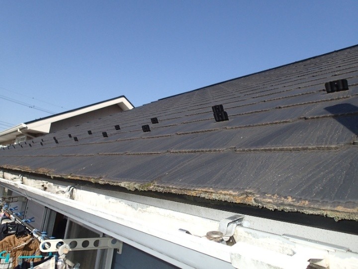 屋根に苔や退色を確認