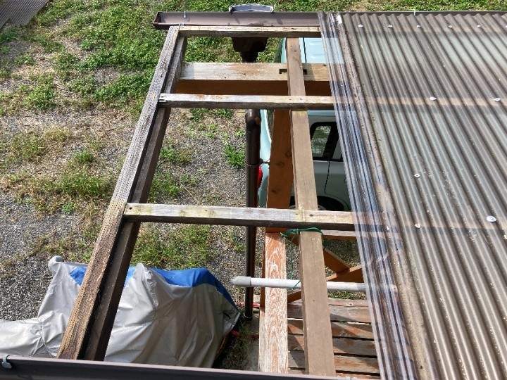 既存波板の撤去作業