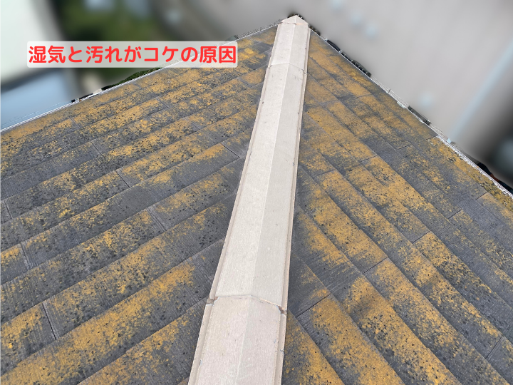 湿気と汚れがコケの原因