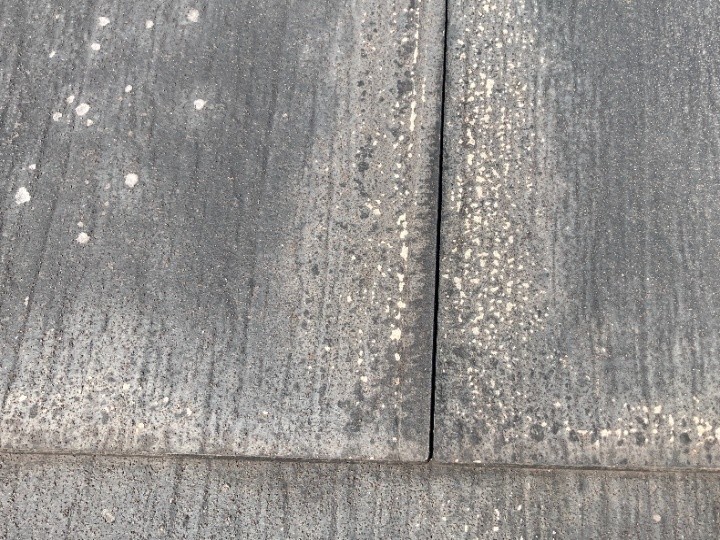 苔の発生と防水性の低下