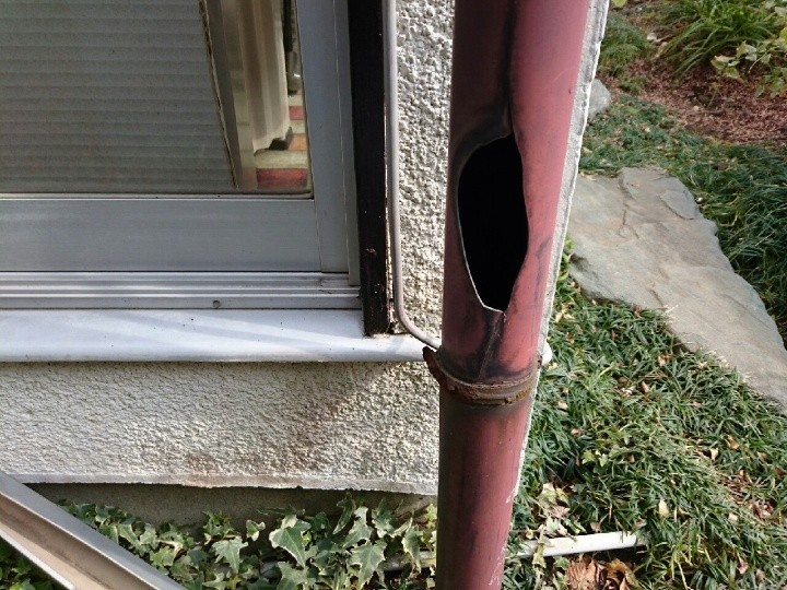 調査写真3：破損した雨樋の確認