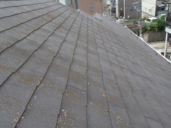 全体的な屋根材の塗膜剥がれ