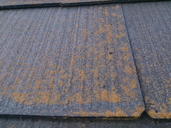 屋根材表面の拡大確認